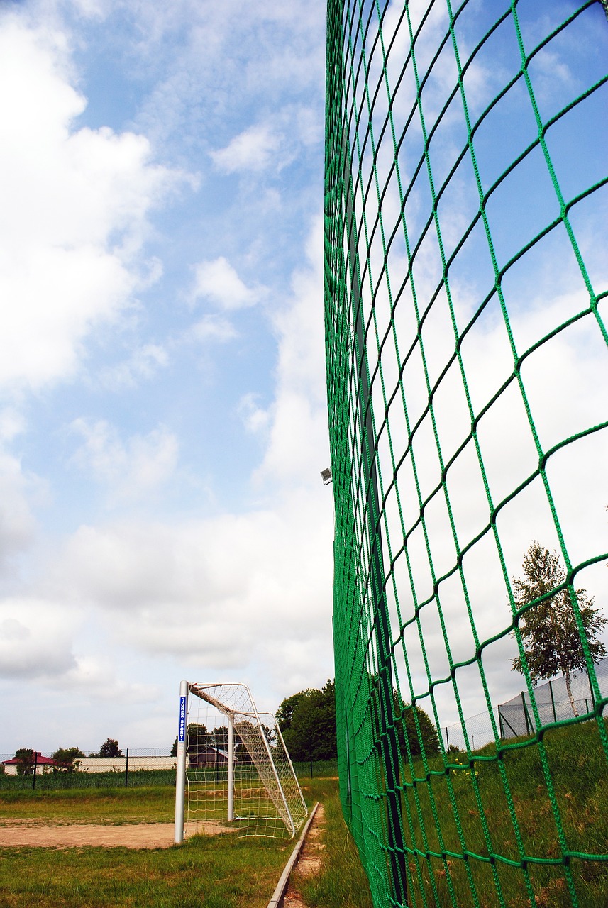 王楚钦3：2战胜林诗栋 2025首战开门红央视新闻客户端.